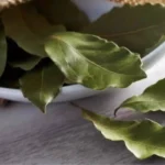 Por que você deve colocar folhas de louro na mesa de cabeceira 20250801-w77cgoywqzevnj2lxidammjn2m