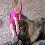 Herói de quatro patas salva vida de recém-nascido na madrugada 20250805-resized-8