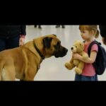 Imagem da página de origem