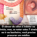 Imagem da página de origem