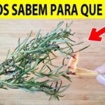 Meu Deus! Eu nunca imaginei que queimar alecrim em casa pudesse servir para isso Imagem da página de origem