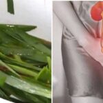 401787421-225120560597147-3739007406133333133-n-1000×600-1