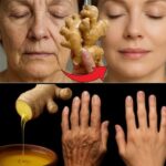 Gengibre: O Segredo Natural para uma Pele Jovem e Radiante 🌿✨ 751