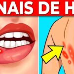 820D7CA81351w900h506-1