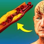 D95237ABED84w900h506