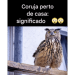 Você sabe o que significa quando uma coruja aparece perto de você? Imagem da página de origem