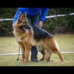 Imagem da página de origem