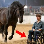 Imagem da página de origem