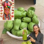 🌿 Chuchu: O Humilde Legume Verde com Surpreendentes Benefícios para a Saúde 827