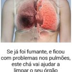 Se já foi fumante, e ficou com problemas nos pulmões, este chá vai ajudar | Receitas Salgadas 844