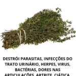 Imagem da página de origem