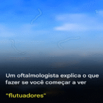 Moscas volantes: o que são e como agir ao percebê-las Imagem da página de origem