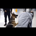 Imagem da página de origem