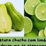 🌿 Chuchu: Benefícios para a Circulação, Anemia e Dores Articulares Imagem da página de origem