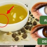 🌿 O Poder Oculto das Sementes de Moringa: 12 Benefícios que Podem Transformar sua Vida e que o Médico Não Vai te Contar Imagem da página de origem