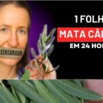 🌿 Uma Abordagem Natural para o Apoio ao Câncer: Lições de Barbara O’Neill Imagem da página de origem