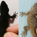 12059c8a-4090-4959-b94b-cfe9550038fd