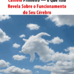 O Que a Primeira Imagem Que Você Vê Revela Sobre o Seu Cérebro? 1acbb34c-4bf1-44fa-b89c-758295a93467-1