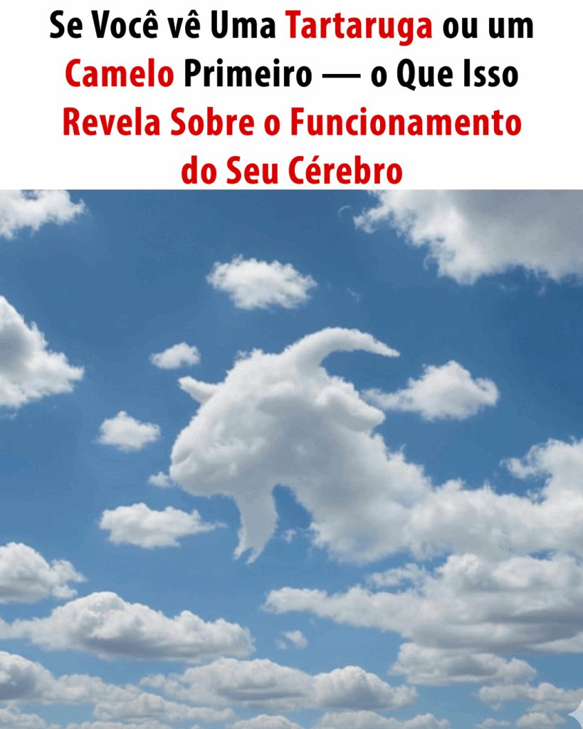 Sua Mente Revelada: O Que a Primeira Imagem Diz?