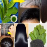 28199595-6d2e-40eb-bf79-632ec8ca79c7