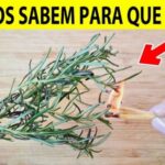 Muito Além da Cozinha: Os Surpreendentes Benefícios de Queimar Alecrim em Casa 2dd1360e-1276-4bb9-b756-47bd4251ebb6-1