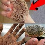 O Vilão Noturno da Sua Pele: Descubra o Hábito que a Sabota Enquanto Você Dorme 2e0f74c0-f752-4ac4-b167-670df8bb985d