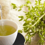 Houttuynia cordata: Um Aliado Natural para Fibromialgia, Lúpus, Fadiga Crônica e Artrite Reumatoide 389475db-8f3a-4c60-bae8-d77faf2ad05f