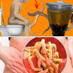 A Verdade por Trás da Desparasitação Natural: O Poder da Semente de Abóbora 3d05efa2-2720-416a-acf0-df9e58a39255