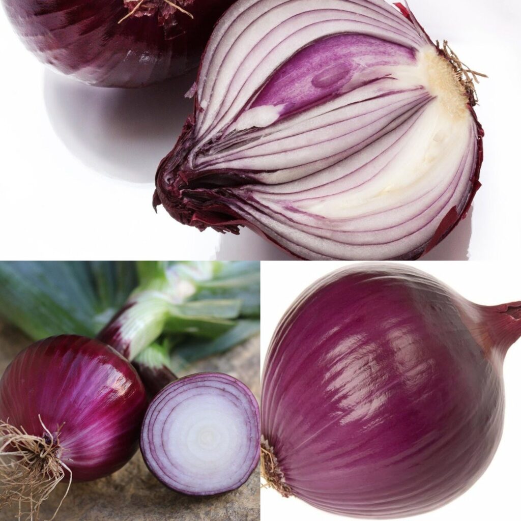 Cebola: Saúde e Sabor em um Simples Ingrediente