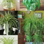 41091dc4-ae61-4586-b3fa-922d0eb35093-1