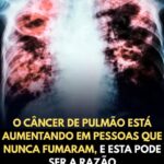 53fef3cc-727e-4452-861c-2d8ec5f581b3