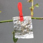 6c3767ee-fb9d-461a-9dfe-189fae55cd3d