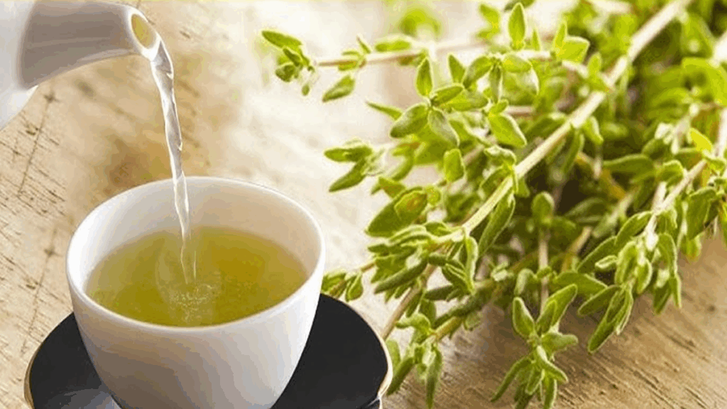 Tomilho: Alívio Natural para Doenças Crônicas Desafiadoras