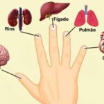 A Cura na Ponta dos Dedos: Desvendando a Técnica Japonesa de Autocura em 5 Minutos 7face9f5-7e84-426c-97cf-198977753ecc-1
