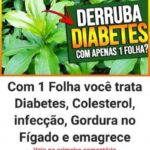 Folha Milagrosa: Aliado Natural para Diabetes, Colesterol e Gordura 83fae9d8-a8b3-40a4-b529-a4a21a1b41e3-1