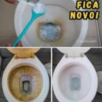 847e5da2-f121-4abc-bc3a-2a786f132333