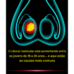 862b1d88-dd44-4776-b85f-5ddabaa5966f