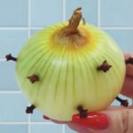 9e4c43d1-8cd7-4889-924d-8cfb9123a345