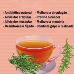 Chá de Alecrim: Uma Bebida Milenar com Benefícios Modernos para a Saúde 9eb245dc-5e0a-4906-8680-9ff7cbede882