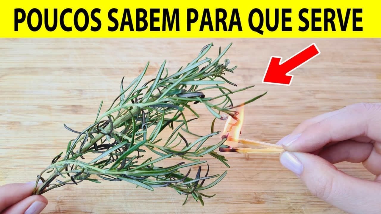 Alecrim em Casa: Bem-Estar e Energia Renovada!