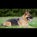 ada27d48-6670-4046-9d48-6f8c4418d935