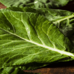 b577842a-d783-4159-835f-5aa4f4377ff0