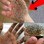 Travesseiro: Vilão Secreto da Sua Pele Noturna? b6b34a25-3131-49c5-a768-539ed2d20b1d