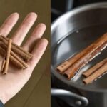 Desvendando o Poder da Canela e do Cravo-da-Índia: Um Segredo Antigo para o Bem-Estar Moderno ca391c47-20e7-42e6-8c38-3877d17f1295