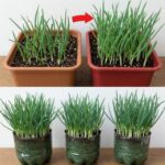 cad79b3b-0b3b-4a30-9d31-1bf586ce371f