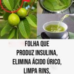 cd914ee3-a323-429b-aa51-f51626ce6087