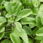 da2b6b7a-32ad-4b90-aaf3-c8b77b63e8d7