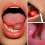 dbd693ba-1bc1-437e-bb42-ea6d1c9cbf5f