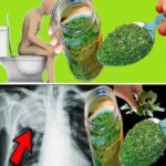 dbe33fe3-3237-464a-a1cd-ed22b5760b99