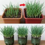 e81583c4-1b9a-404f-b4d1-c4fda1c838c5